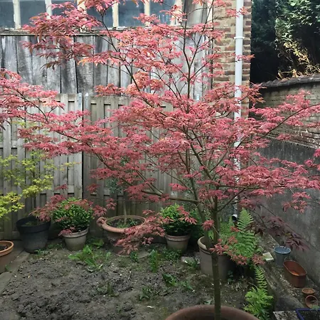 True Hospitality * Louvain-la-Neuve