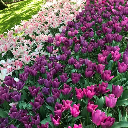 True Hospitality Lägenhet *