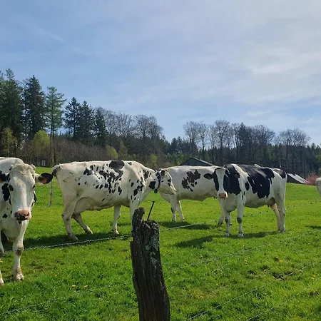 True Hospitality アパート *