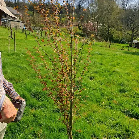 True Hospitality * Louvain-la-Neuve