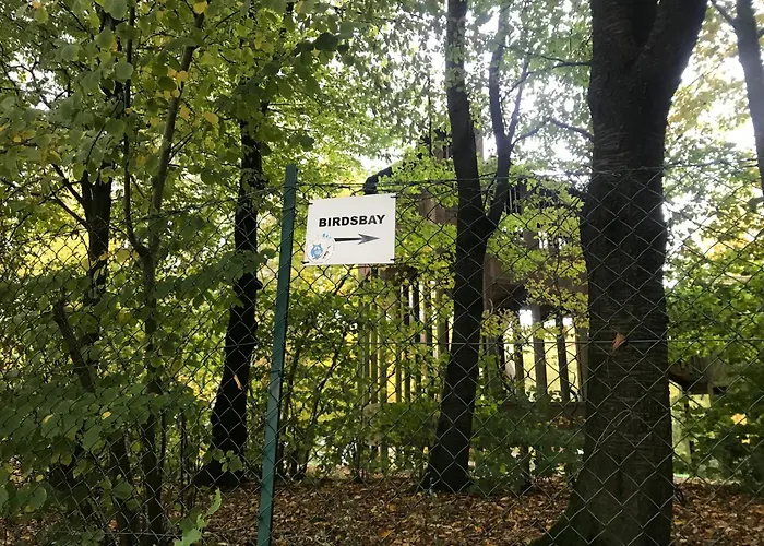 Apartamento True Hospitality